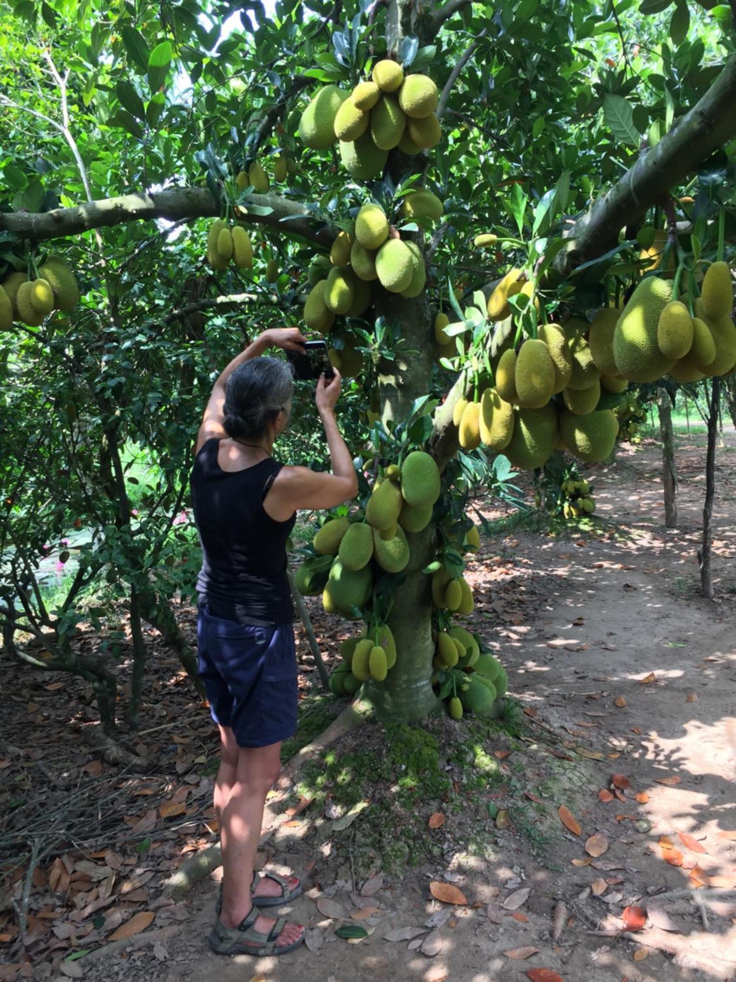 Mekong Farmstay Cantho - C.R Floating Market Can Tho Exterior photo